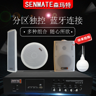 蓝牙U盘播放定压分区功放吸顶喇叭壁挂音箱防水音柱背景音乐套装
