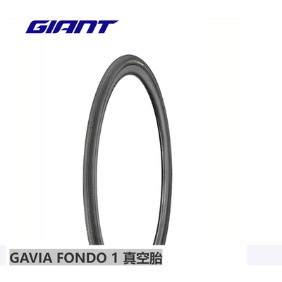 捷安特台湾进口 GAVIA COURSE 1真空胎真空胎公路自行车可折叠防