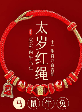 本命年生肖红玛瑙护身符手绳
