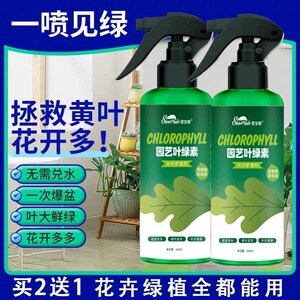 通用汤臣植物活力营养素黄掉叶发财树多肉花卉盆栽本1号臣官方店