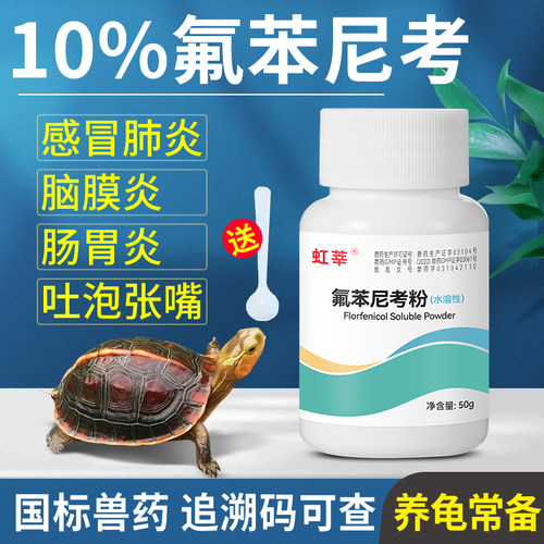 乌龟肺炎脑膜炎专用药氟苯尼考