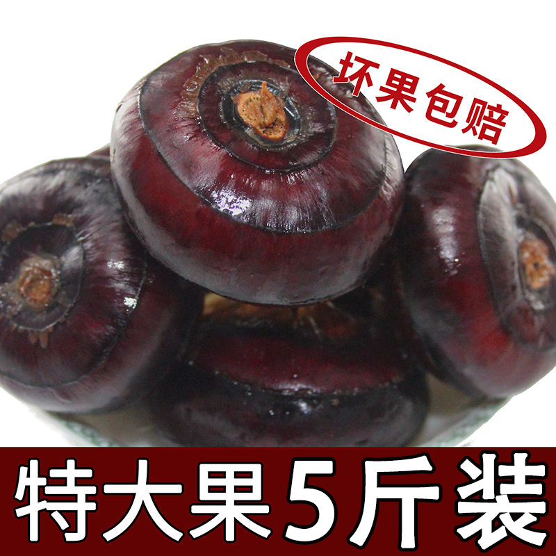 新鲜马蹄荸荠产地直发