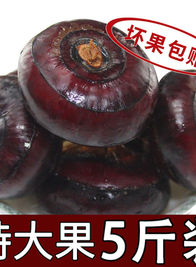新鲜荸荠马蹄5斤1 特大果地栗地梨农家水果蔬菜红中果马蹄果现挖
