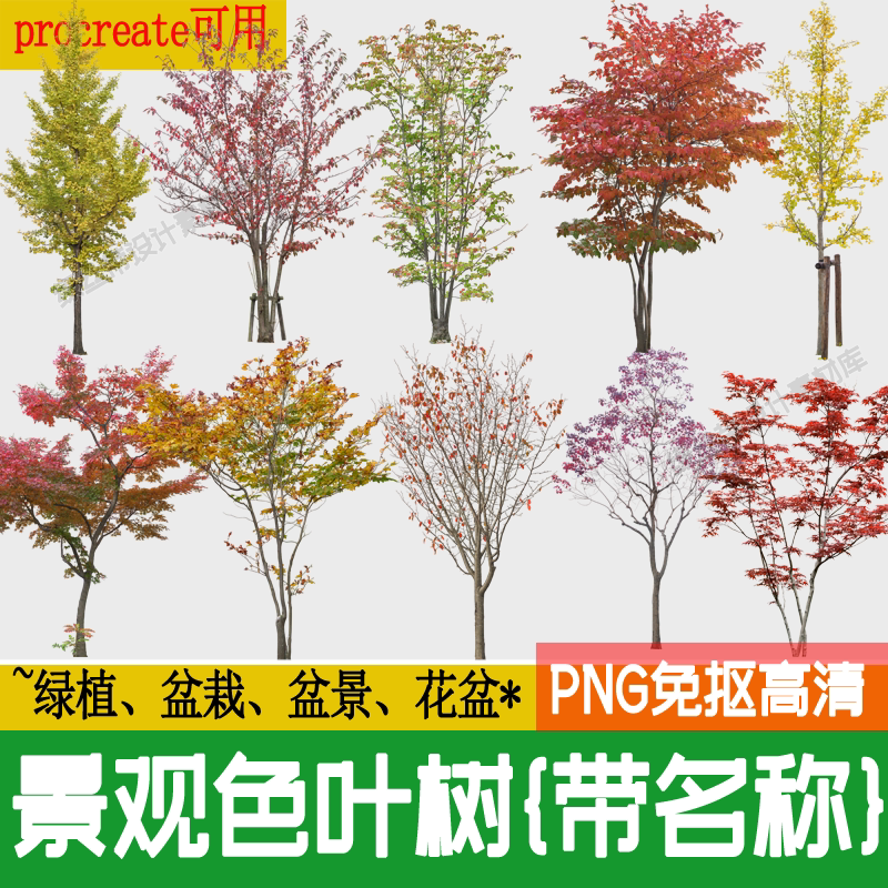 园林景观色叶树png免抠图银杏红枫秋季彩色效果图后期植物ps素材