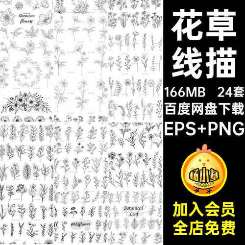 花卉矢量EPS PNG笔画24套素描稿线图白描临摹植物图案花