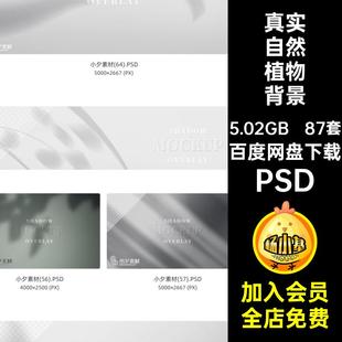 光影叠加素材植物PS光斑背景效果87套真实窗户投影阴影自然PSD