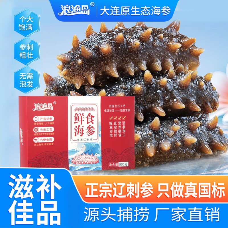 鲜食海参大连刺参深海底播辽刺参海参