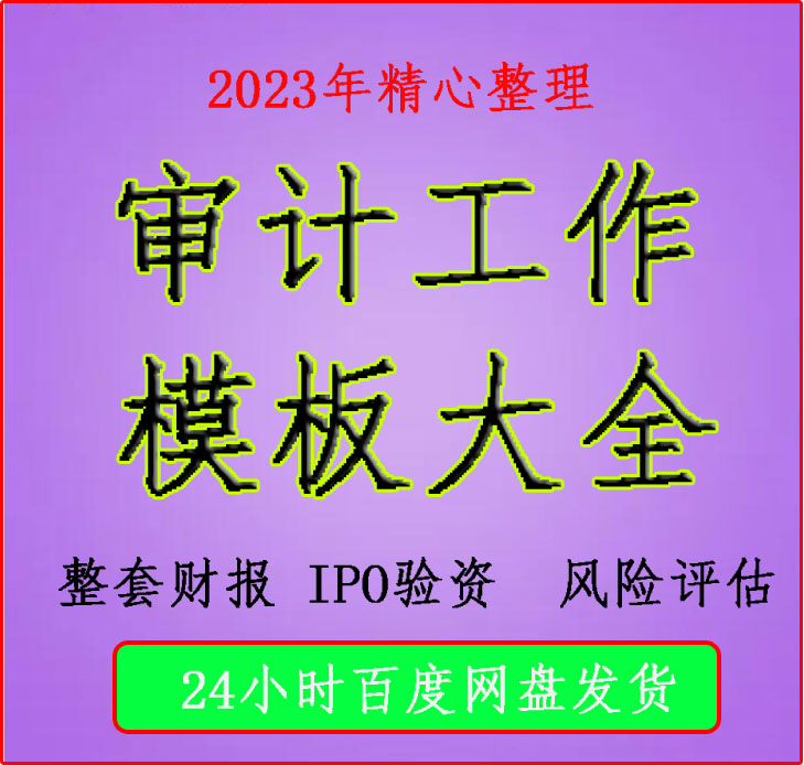 财务报表业务审计IPO验资风险评估工作底稿模板大全编制指引资料