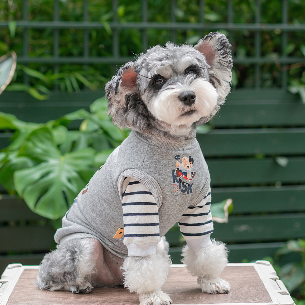 可爱小熊宠物衣服猫咪狗狗卫衣春夏秋冬防掉毛泰迪比熊博美狗衣服,宠物/宠物食品及用品,狗宠物服装/雨衣,淘宝优惠券,粉丝福利购,淘宝优惠卷