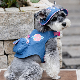 户外遛狗遛猫衣服可爱宠物胸背牛仔背包带牵引绳小型犬雪纳瑞衣服