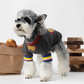 网红狗狗衣服2024夏季 泰迪比熊雪纳瑞小狗背心宠物猫咪衣服潮 薄款