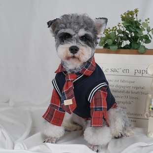 网红泰迪雪纳瑞猫咪小型犬衣服潮 学院风狗狗衣服秋冬宠物格子衬衫