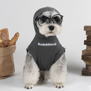 美式字母狗狗衣服夏天薄款透气贵宾比熊雪纳瑞中小型犬背心无袖潮