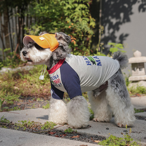 撞色狗狗衣服春夏薄款防掉毛潮牌