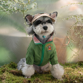 小清新狗狗衣服2024新款 宠物中小型犬冲锋衣泰迪雪纳瑞猫咪衣服潮
