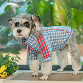小清新格子狗狗衣服春秋款 猫咪比熊西高地雪纳瑞衣服 宠物拉链衬衫