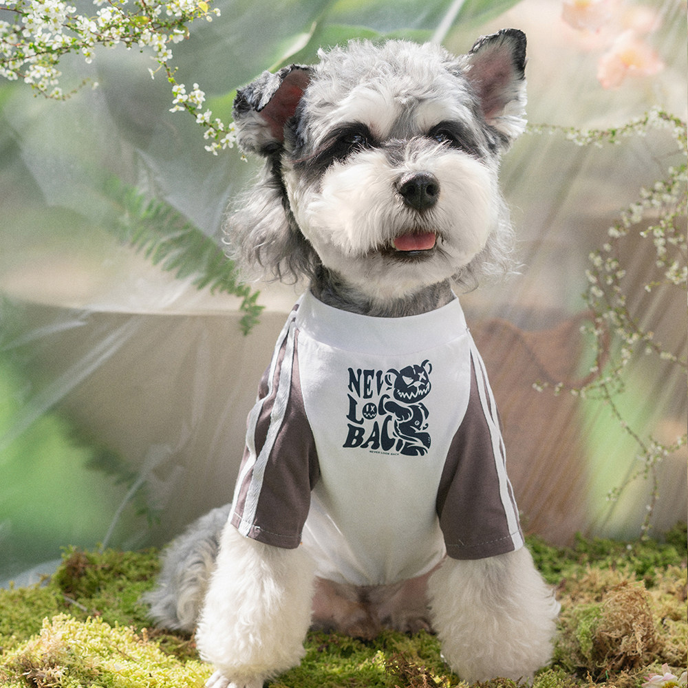 港风中小型犬狗狗衣服夏天薄款纯棉比熊博美柯基雪纳瑞T恤衣服潮
