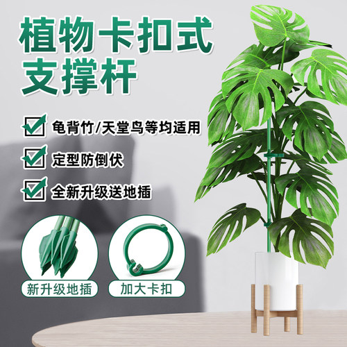 植物支撑杆家用园艺兰花固定器