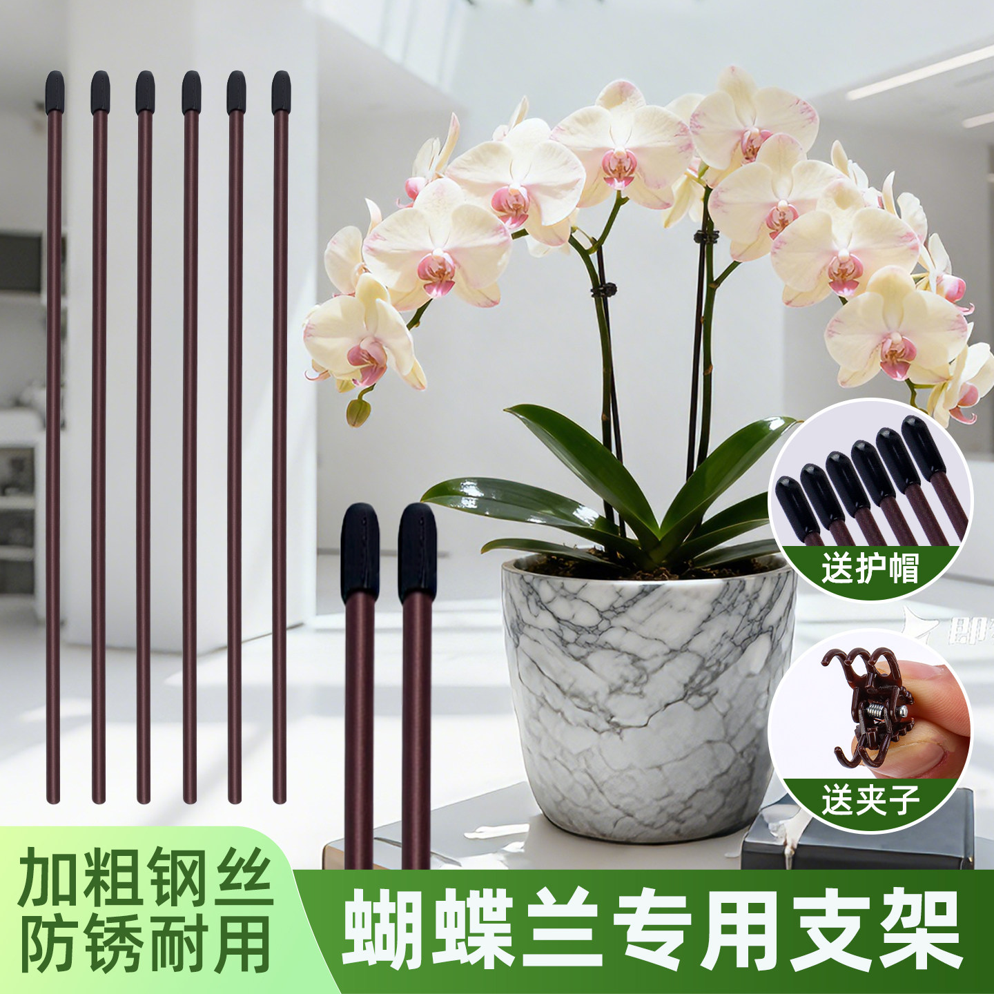 蝴蝶兰支架爬藤花卉植物固定专用