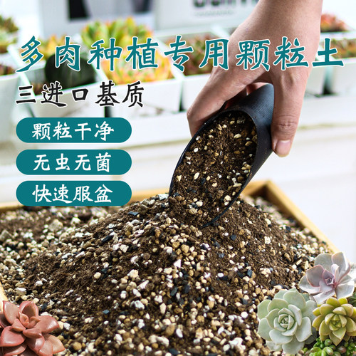 多肉专用颗粒土三进口基质混合土