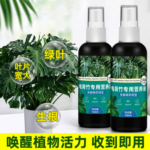 即喷免稀释龟背竹专用营养液