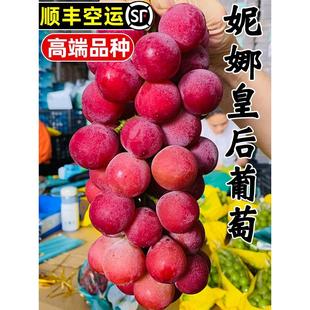 现货云南妮娜皇后葡萄5斤新鲜水果现摘罗马红宝石无籽红提礼盒装