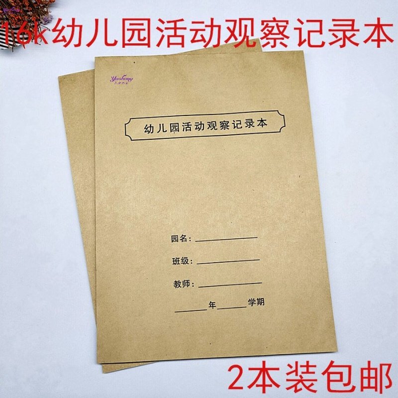 幼儿园区域活动观察记录表教学大班分析评价措施区角幼儿户外日常