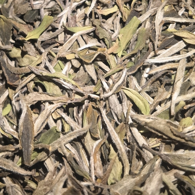 一级白牡丹花香500克纸盒