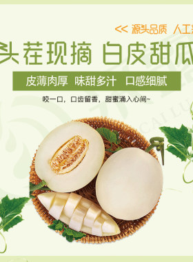 阎良甜瓜新鲜采摘时令水果