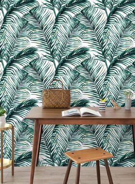 热带树叶自粘壁纸工厂防水防潮背景墙PVC跨境墙纸wallpaper定制