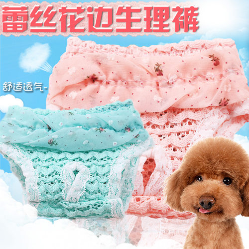 物生理裤泰迪比熊月经裤狗内裤发情裤草莓波点雪纺宠物内裤