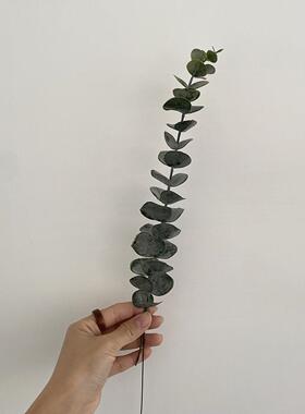 ins风单支尤加利金钱叶室内装饰插花摆件绿植仿真植物民宿家居