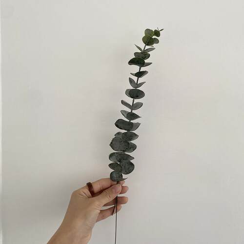 ins风单支尤加利金钱叶室内装饰插花摆件绿植仿真植物民宿家居