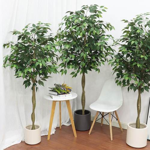 大型仿真植物榕树盆栽室