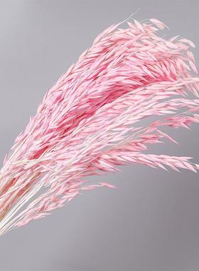 天然植物白色燕麦艺术麦穗干花干草花束永生花家居摆设拍摄道具定