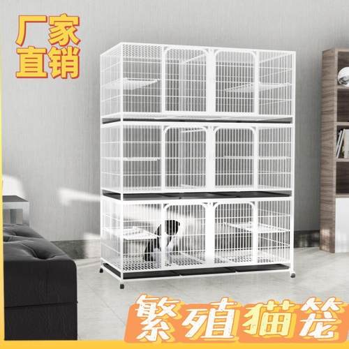猫笼三层繁育笼猫笼子鸽子笼带隔断平台展示笼养殖猫笼子