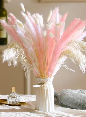 云南干花花束白色芦柴兔尾草小芦苇套装干花婚礼装饰亚马逊定制