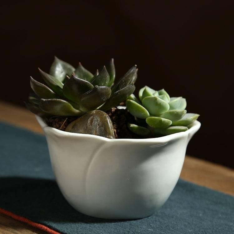 简约现代白色陶瓷小花盆 玫瑰花形多肉植物花盆桌面摆件