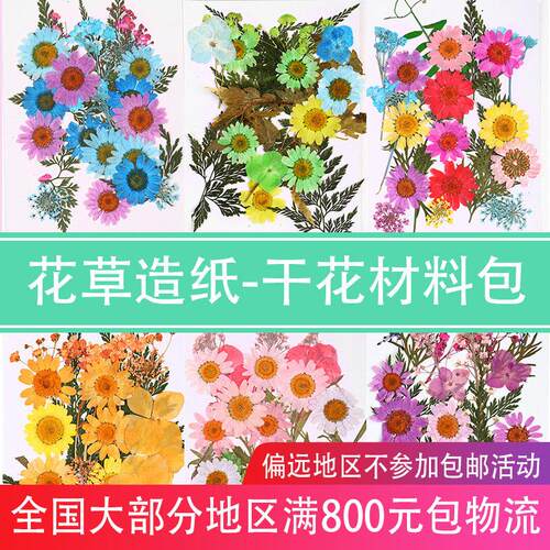 压花diy古法造纸术干花材料包 儿童手工花草纸 书签真花植物标本