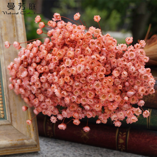巴西小星花干花花束 家居装饰迷你小雏菊diy永生花拍摄道具