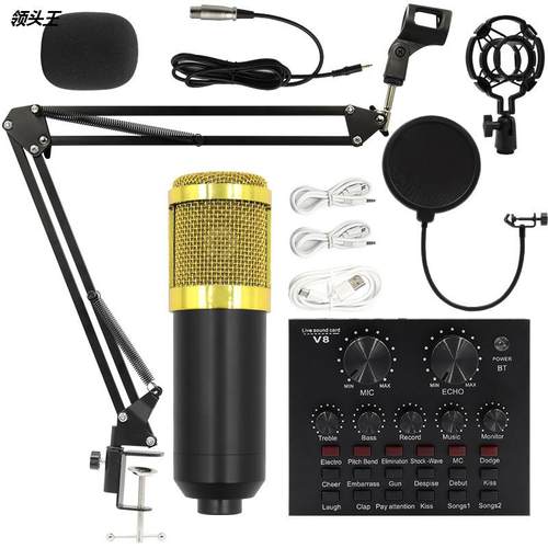 BM800电容话筒麦克风+V8声卡网红主播电脑录音支架大振膜直播套装