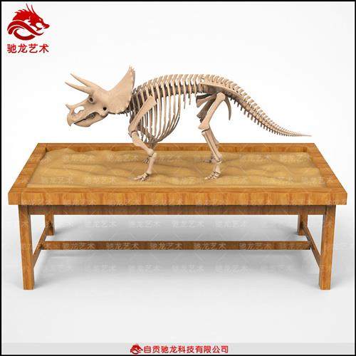商场儿童乐园考古卓恐龙骨架大型骨架化石模型摆件恐龙骨架