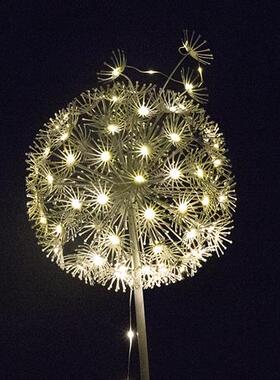 户外不锈钢蒲公英雕塑固定灯房地产销售部园林景观素描装饰摆件