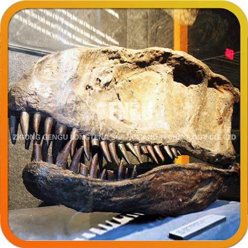 恐龙化石骨架制作仿真恐龙厂家