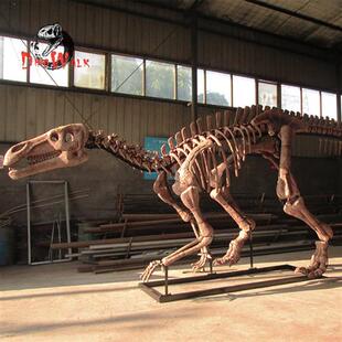 博物馆恐龙古生物化石扶绥龙禽龙骨架骨骼大型逼真玻璃钢模型标本