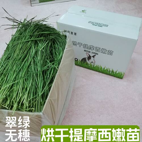 烘干提摩西草兔兔干草豚鼠提摩西磨牙健齿高纤维荷兰猪干牧草饲料