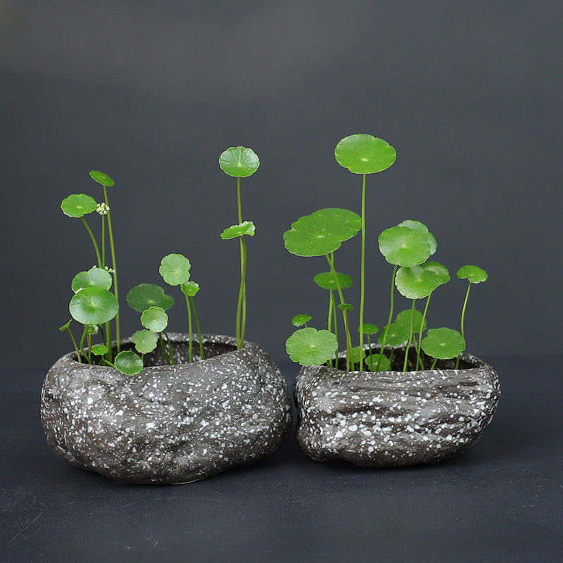 古法鱼缸沉底花盆陶瓷造景摆件水草水培植物陶盆定植篮盆专用健康