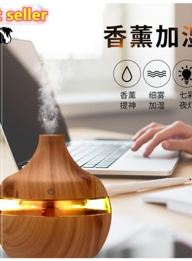 Essential oil diffuser香薰器air humidifier 加湿器 小型 min