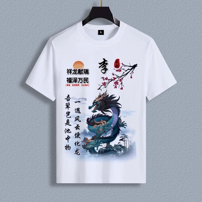 祥龙献瑞中国风山水墨画宽