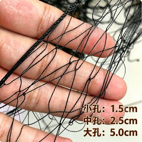 防鸟用网果园果树防鸟网樱桃葡萄鱼塘天网户外大棚尼龙线网养殖网